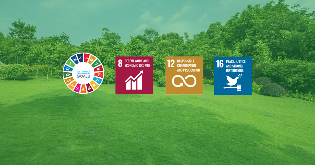 UN Sustainable Development Goals