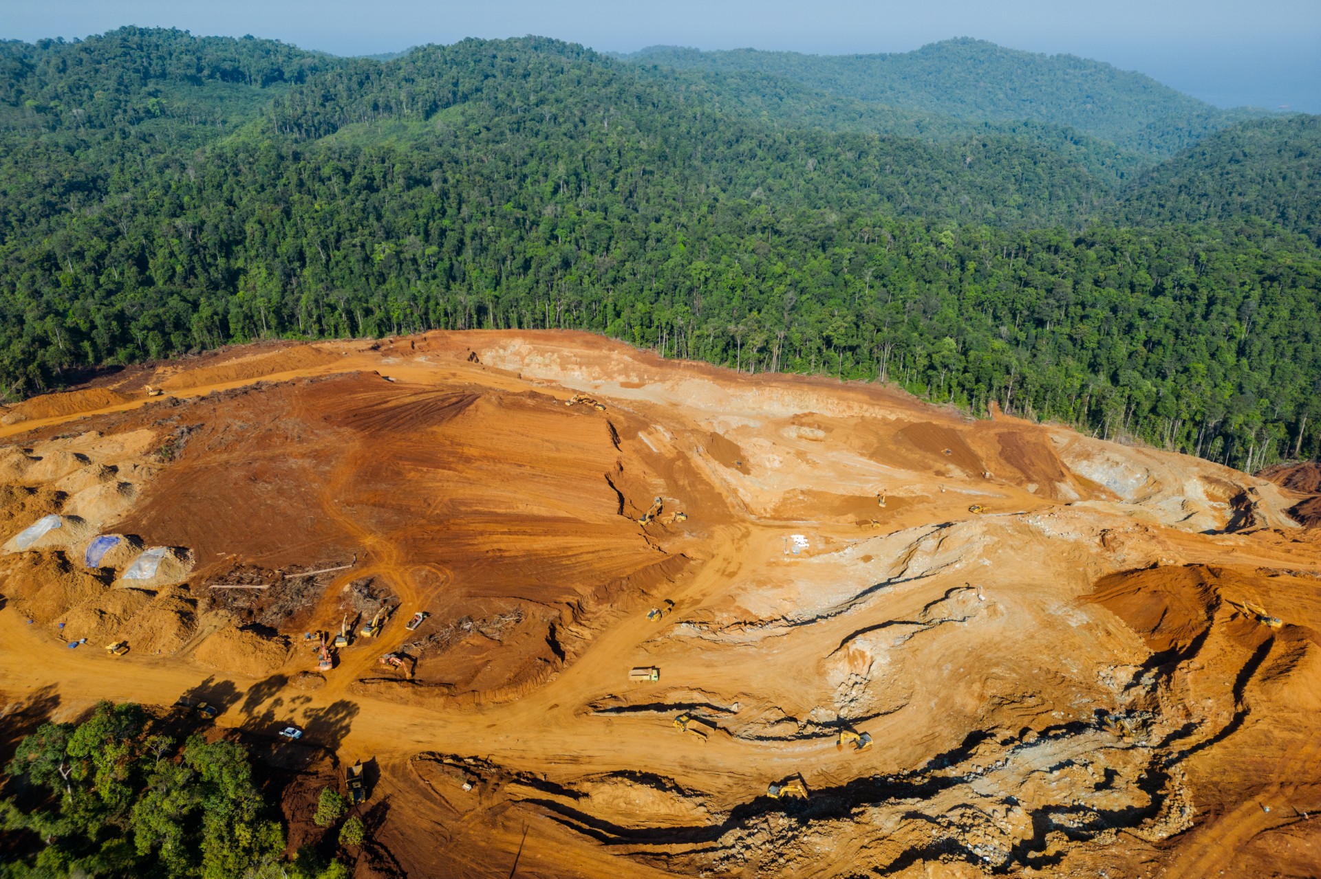 Forest impacted by mining